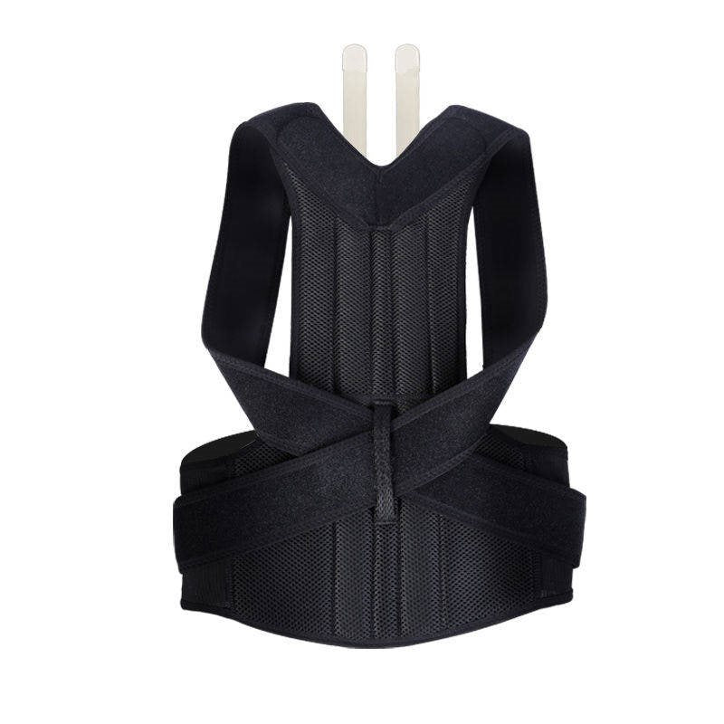 Chizl Align — Posture Corrector & Back Support Brace